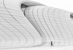 Salon.Photo Bronze Medal