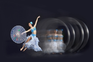 Salon.Photo Gold Medal