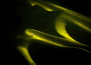 Salon.Photo Silver Medal