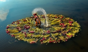 Salon.Photo Bronze Medal